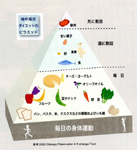 地中海式ダイエットのピラミッド
