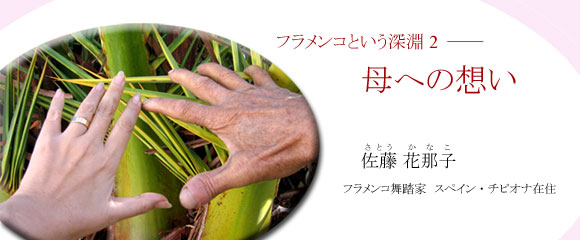 フラメンコという深淵――母への想い
