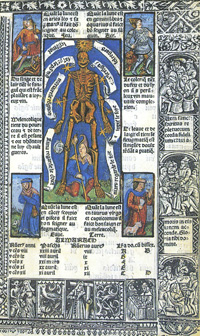 占星術的人体『時祷書』挿絵　1508年　（株）モリサワ.jpg