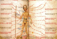 瀉血人体　15世紀　イギリス　大英図書館所蔵　ハーレ写本