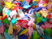 この折り鶴は、東日本大震災で被災された方々への支援金を集めるために開かれた「ジャパン・エイド・コンサート」で、寄付をして下さった人々に差し上げようと、セドナ在住の日本女性達が感謝の心をこめて折った千羽鶴。