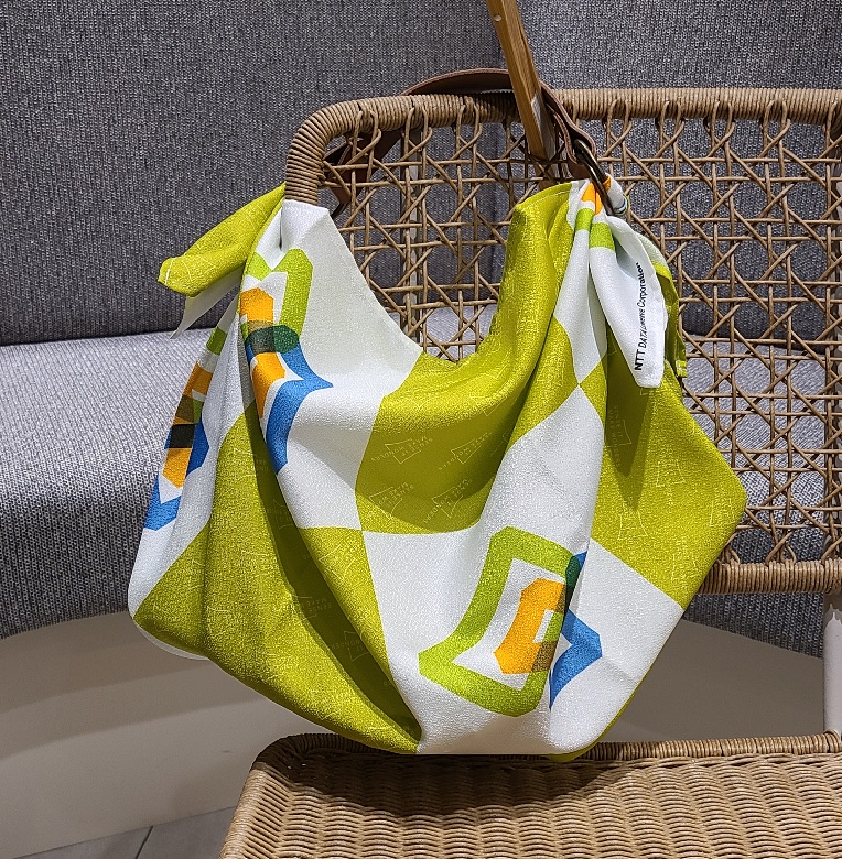 Carry or Shoulder bag
